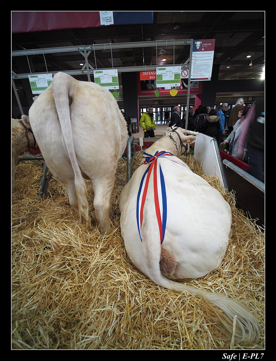 2020 - 02 - Salon agriculture 57